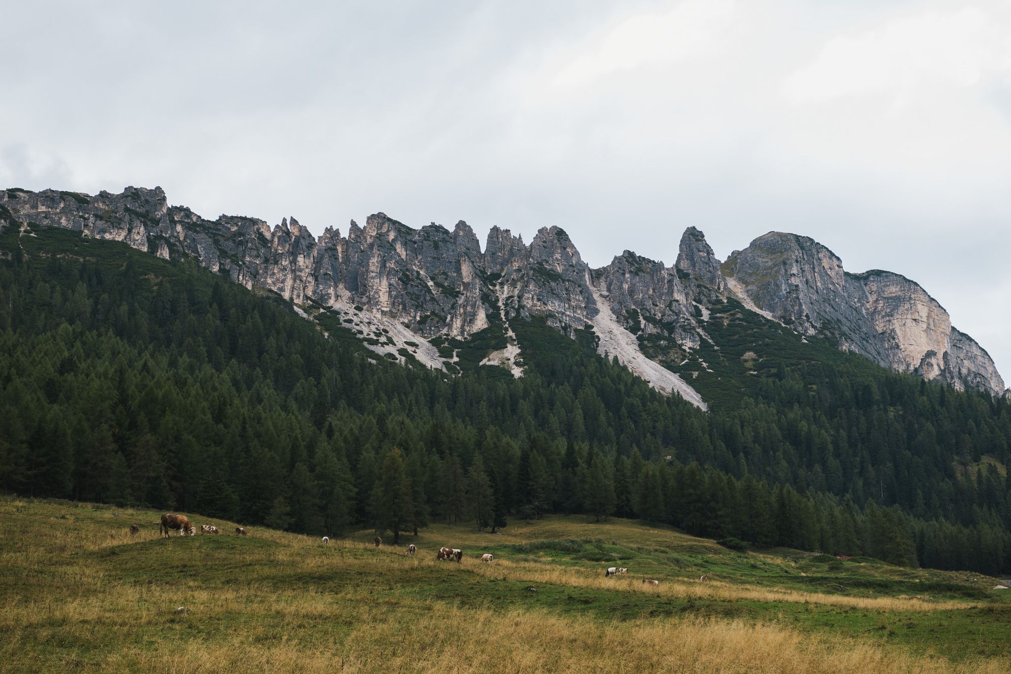 Gdje smo fulali u planiranju Dolomita?