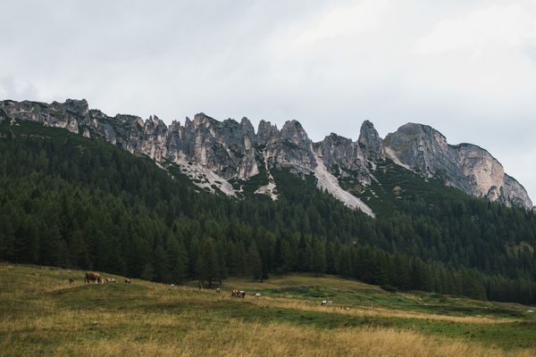 Gdje smo fulali u planiranju Dolomita?